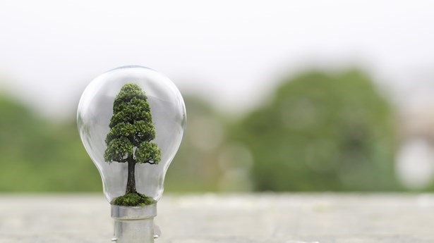LED Upgrade saves money for Choice Tenants