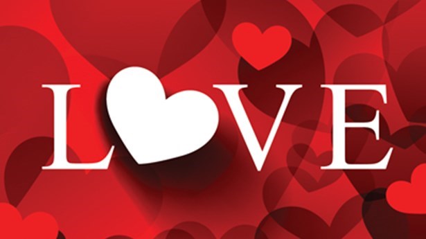 You'll Fall in Love with our Sheltered Living Schemes