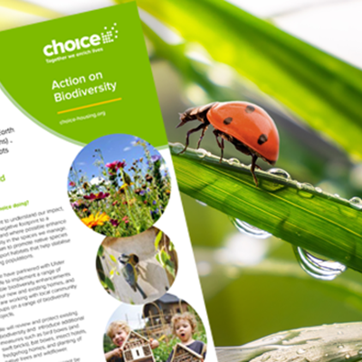 Biodiversity Information and support