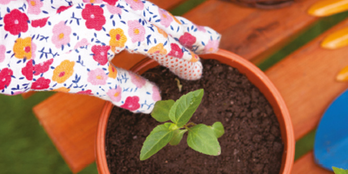 Choice Best Kept Garden Competition 2022