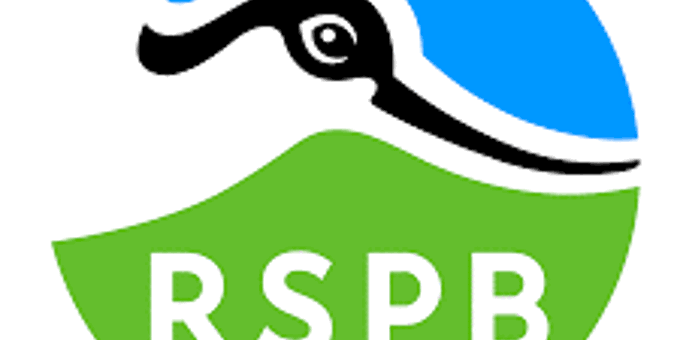 Join the Big Garden Birdwatch