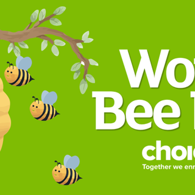 World Bee Day