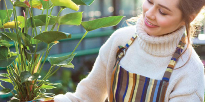 Gardening Competition 2020!